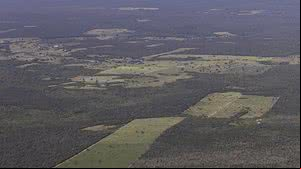 De janeiro a junho, foram desmatados 21.401 hectares, ante 47.896 em 2023, segundo levantamento divulgado pela Fundação SOS Mata Atlântica - © Thomas Bauer/ SOS Mata Atlântica