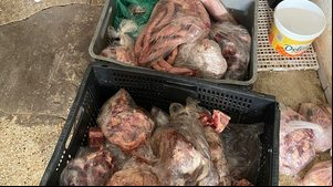Fiscalização apreende 400 kg de produtos impróprios em frigorífico na parte alta - Vigilância Sanitária / Maceió