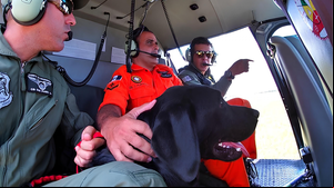 Imagem Paciente psiquiátrico perdido em área de mangue em Maceió é resgatado