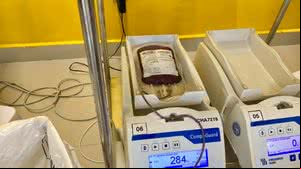 Hemoal está com estoque de sangue baixo e faz apelo para doações urgentes - Divulgação / Sesau