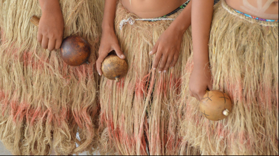 Para enfrentar os casos de violência nas aldeias indígenas alagoanas e prestar assistência às vítimas, a Sesau desenvolve o Mate Masie - Foto: Ascom Sesau