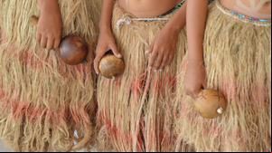 Para enfrentar os casos de violência nas aldeias indígenas alagoanas e prestar assistência às vítimas, a Sesau desenvolve o Mate Masie - Foto: Ascom Sesau