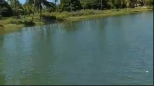Homem aproveitava o dia de lazer nessa segunda-feira (21), feriado de Tiradentes, quando pulou de um catamarã - Foto: Reprodução