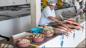 Imagem Centro Pesqueiro de Jaraguá amplia horário funcionamento