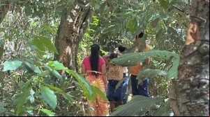 Cortesia ao TNH1 - Família pede ajuda em novo dia de buscas por adolescente Ana Beatriz
