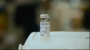 Mutações em vírus causadores da gripe aviária preocupam cientistas - Foto: Agência Brasil
