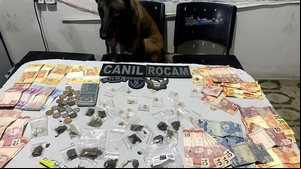Dois são presos por tráfico após cão farejar drogas em residência de Arapiraca - Foto: Cortesia/PM