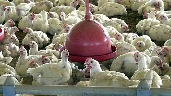 Foto: Reprodução/Agência Brasil