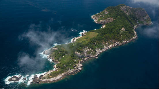Ilha da Queimada Grande, em São Paulo - João Marcos Rosa / Divulgação / ICMBio