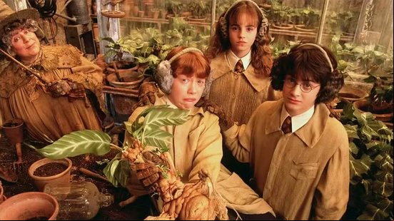 Miriam Margolyes ao lado de Rupert Grint, Emma Watson e Daniel Radcliffe - Divulgação / Warner