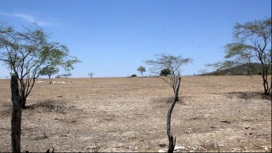 Alagoas foi um dos estados que teve agravamento da seca em abril, diz agência - Ascom Governo de Alagoas