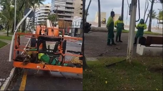 Reprodução/Video