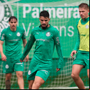 Cesar Greco / Palmeiras