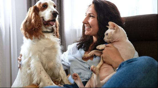 O cuidado com a saúde é fundamental para garantir animais felizes (Imagem: Gerain0812 | Shutterstock)