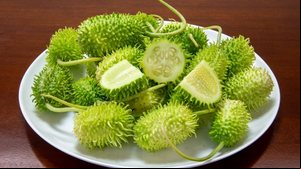 O maxixe é rico em nutrientes essenciais para o funcionamento do organismo (Imagem: Adilson Sochodolak | Shutterstock)