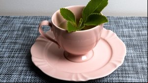 O chá de bolso contribui para a desintoxicação do fígado (Imagem: Studio Neeby | Shutterstock)