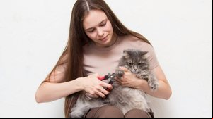 Além de prevenir acidentes, os cortes regulares das unhas dos gatos também evitam que desenvolvam desconfortos ao caminhar (Imagem: Ekaterina43 | Shutterstock)