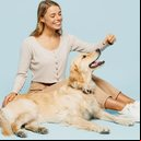 A artrite é uma doença que também pode afetar os animais (Imagem: ViDI Studio | Shutterstock)