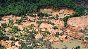 foto: Greenpeace