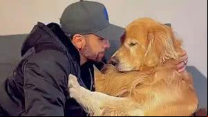 Imagem Justiça decide arquivar inquérito que investigava morte do cão Joca