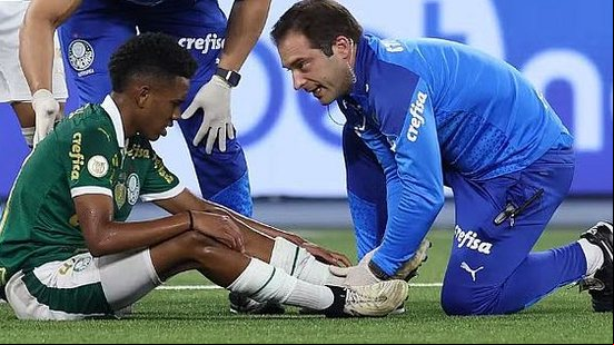 Cesar Greco/Palmeiras