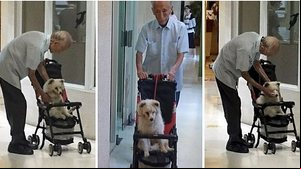 Imagem Idoso leva cachorro para o veterinário em carrinho de bebê e viraliza