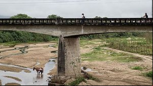 Dois Riachos, AL, 19.09.2023: Homem lava seu cavalo no rio quase seco Dois Riachos, na cidade de mesmo nome no sertão de Alagoas as margens da rodovia BR 316 | Eduardo Knapp / Folhapress