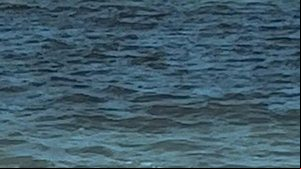 Imagem Mancha escura no mar de Ponta Verde foi causado por algas, diz IMA