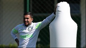 Cesar Greco / Palmeiras