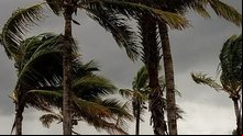 Inmet amplia alerta de vendaval para 81 cidades de Alagoas | Reprodução / Inmet