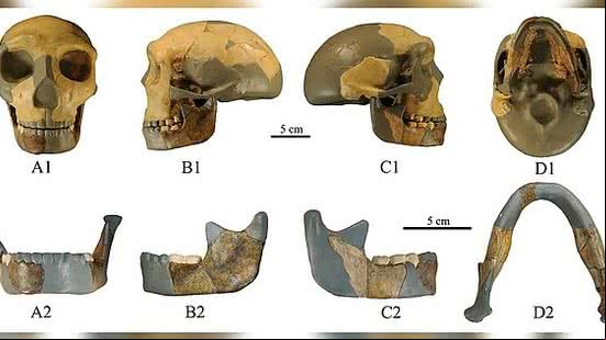 Xiujie Wu/National Research Center on Human Evolution