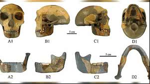 Xiujie Wu/National Research Center on Human Evolution