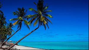Praia de Ponta Verde | Wesley Menegari / Secom Maceió