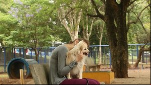 Confira dicas para amenizar o sofrimento do seu bichinho de estimação | Foto: Rovena Rosa / Agência Brasil