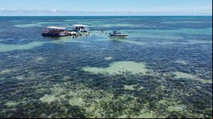 Imagem Operação Oceano mostra o turismo predatório e uma lição de preservação na Costa dos Corais