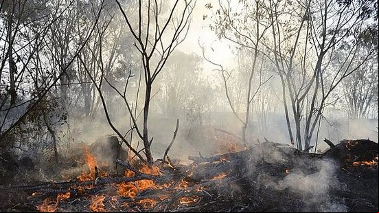 Queimada em Roraima | Foto: Agência Brasil