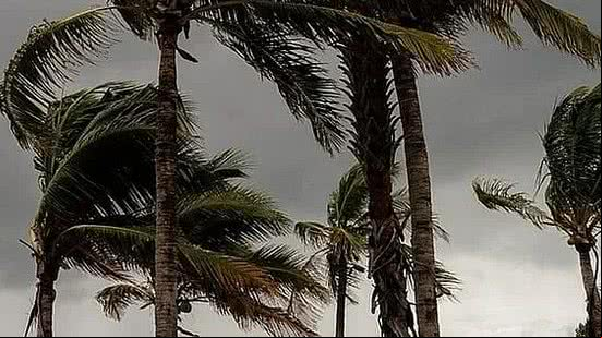 Alerta de vendaval é disparado para 51 cidades de Alagoas | Reprodução / Inmet