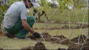Restaura Caatinga ganha destaque neste 21 de setembro | Foto: Tânia Rêgo / Agência Brasil