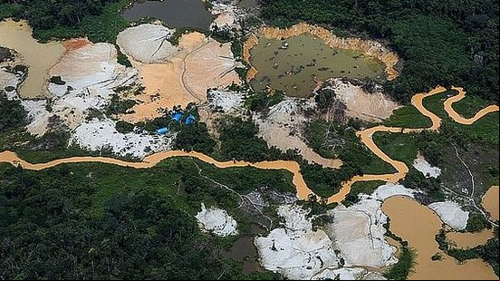 Bruno Kelly/Amazônia Real/Reprodução