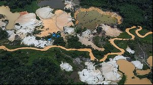 Bruno Kelly/Amazônia Real/Reprodução