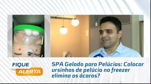 SPA Gelado para Pelúcias: Colocar ursinhos de pelúcia no freezer elimina os ácaros?