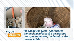 Moradores denunciam infestação de moscas nos apartamentos; incômodo e risco para a saúde
