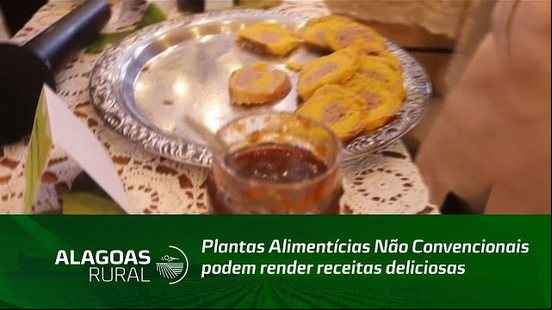 Plantas Alimentícias Não Convencionais podem render receitas deliciosas