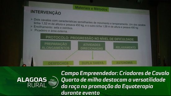 Criadores de Cavalo Quarto de milha destacam a versatilidade da raça na promoção da Equoterapia