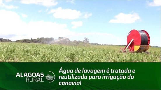 Água de lavagem é tratada e reutilizada para irrigação do canavial