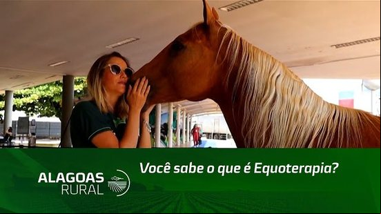 Você sabe o que é Equoterapia?