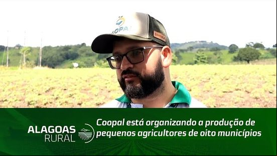 Coopal está organizando a produção de pequenos agricultores de oito municípios