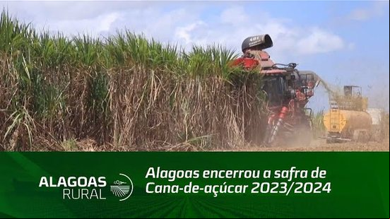 Alagoas encerrou a safra de Cana-de-açúcar 2023/2024