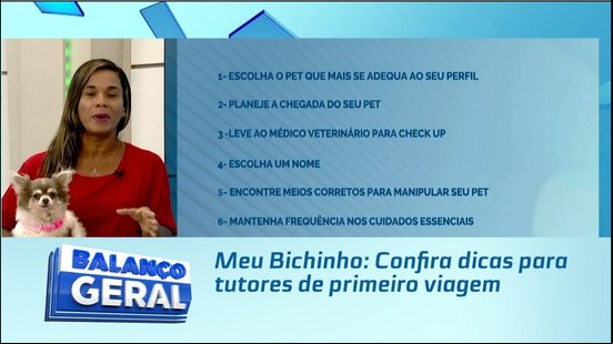 Meu Bichinho: Confira dicas para tutores de primeiro viagem