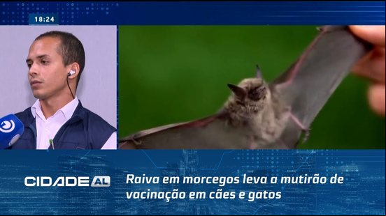 Maceió em Alerta: Raiva em morcegos leva a mutirão de vacinação em cães e gatos